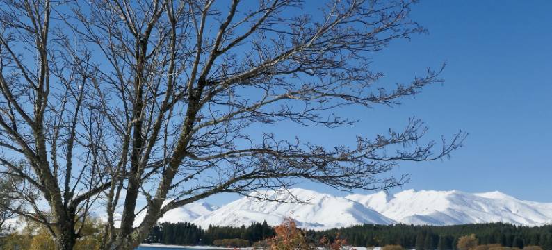 特卡波1929 度假庄园(Tekapo1929 Lakefront Villa)图片