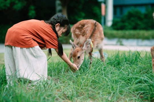 遂宁首座万豪酒店图片