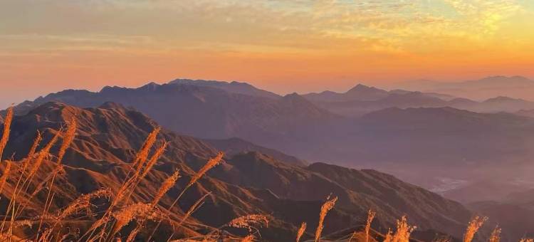 武功山·山野居｜Breathing·WildSolace(游客中心店)图片