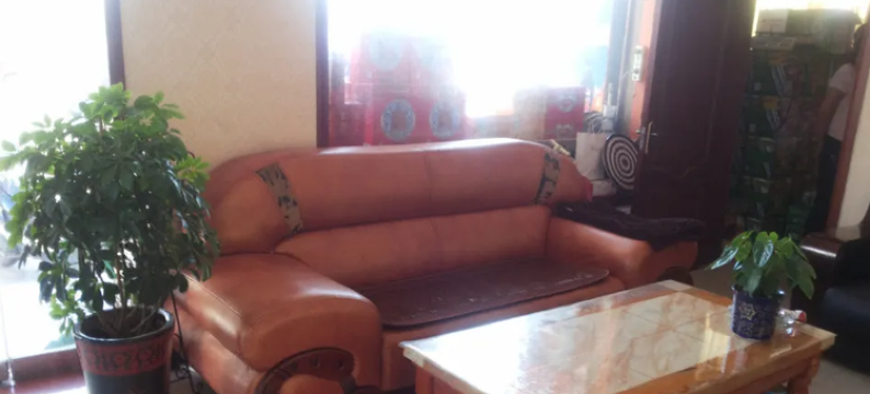 吕梁四季春旅馆图片