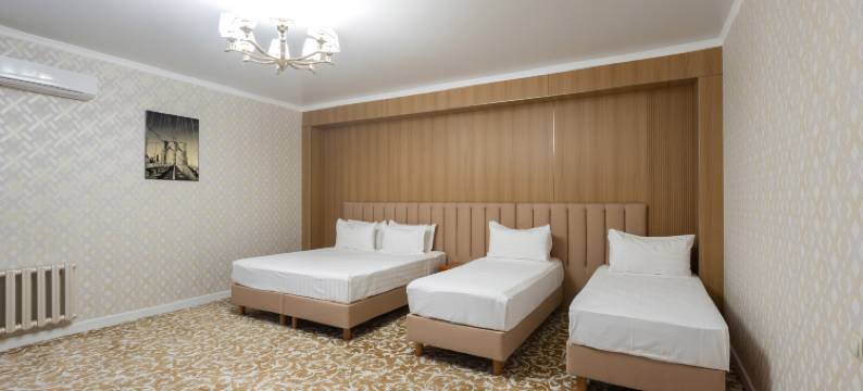 托米里斯精品酒店(Tomiris hotel)图片