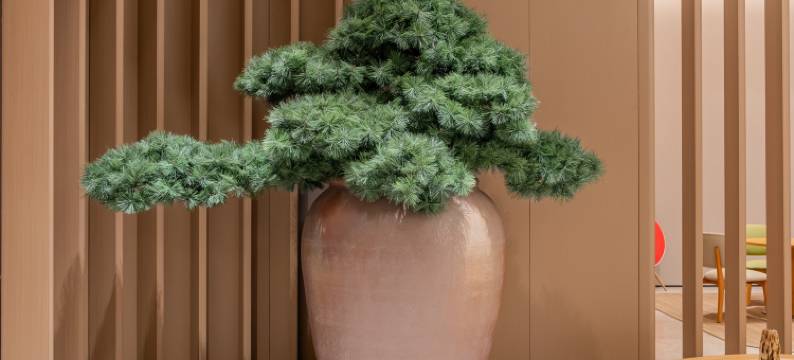 全季酒店(成都邛崃凤凰大道店)图片