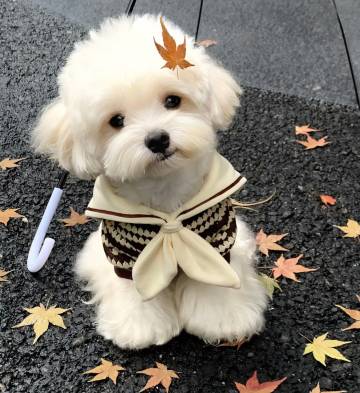 弥勒丨恩典丨工业风设计师民宿(湖泉生态园店)图片