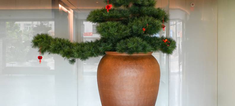 漳浦季源酒店图片