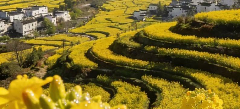 婺源江月风行客桟图片