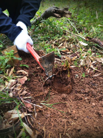 南京归来兮桠溪庄园酒店图片