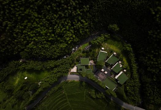 莫干山悠然九希度假村图片