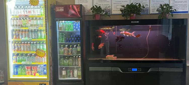 平罗云喜商务酒店(鼓楼店)图片