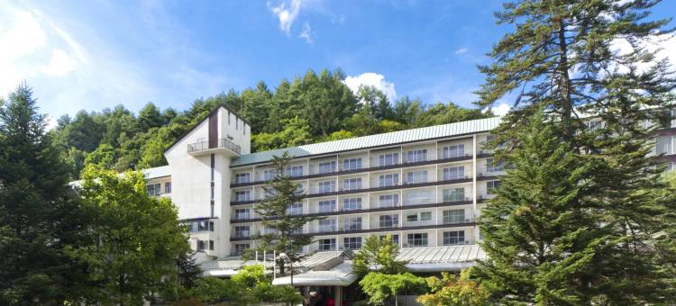 蓼科大酒店泷之汤(Tateshina Grand Hotel Takinoyu)图片