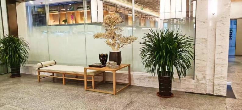 新世纪大酒店(钢城区店)图片