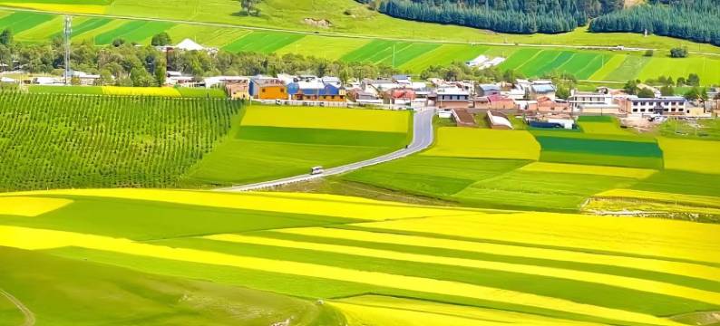 祁连云信宾馆图片