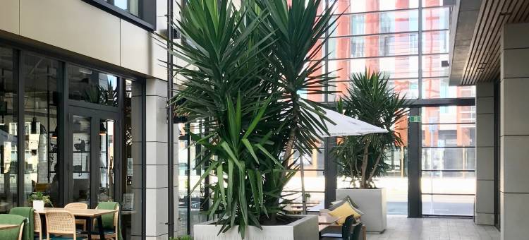 苏迪玛基督城酒店(Sudima Christchurch City)图片