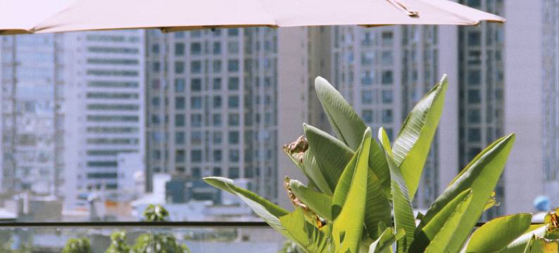 绵阳三舍城市花园酒店(高铁站店)图片