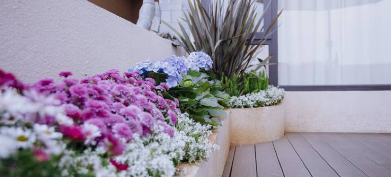 澄江田言溪语客栈图片