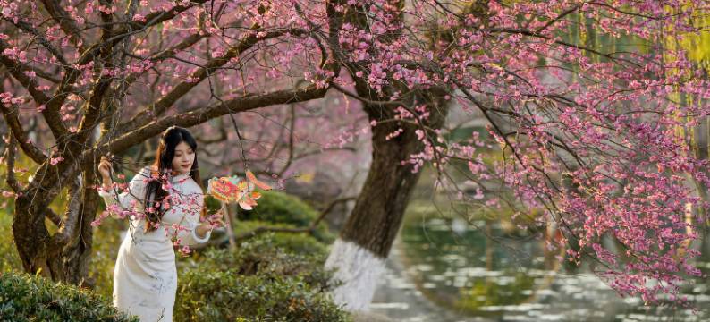 杭州水墨蓉庄私家园林酒店(超山风景区店)图片