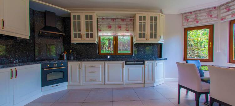 科尔克皮纳尔别墅(Sapanca Village Kirkpinar)图片