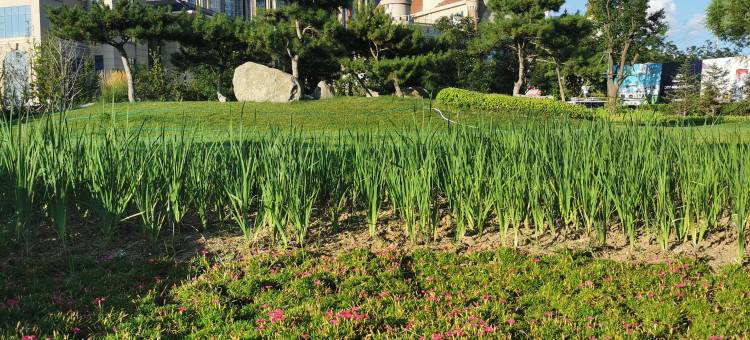 官厅湿地度假小镇民宿(北京信息科技大学张家口店)图片