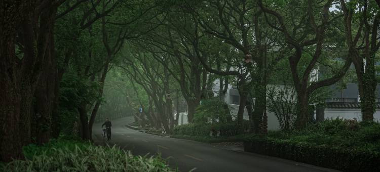 普陀山柏沅酒店图片