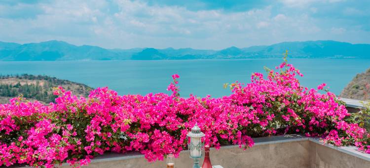 安吉拉的家(抚仙湖风景区店)图片