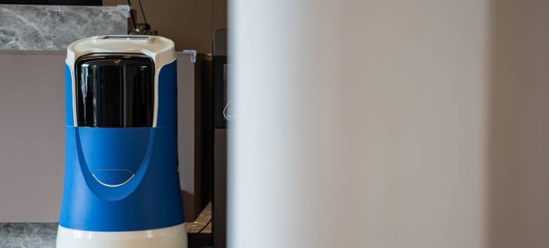 岚也・500m²治愈系花园・FUTURE智能・设计师民宿(丽江古城大水车店)图片