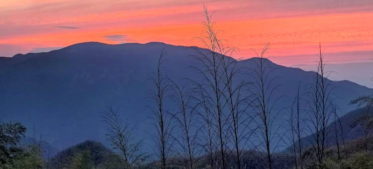 安吉知己民宿(江南天池店)图片