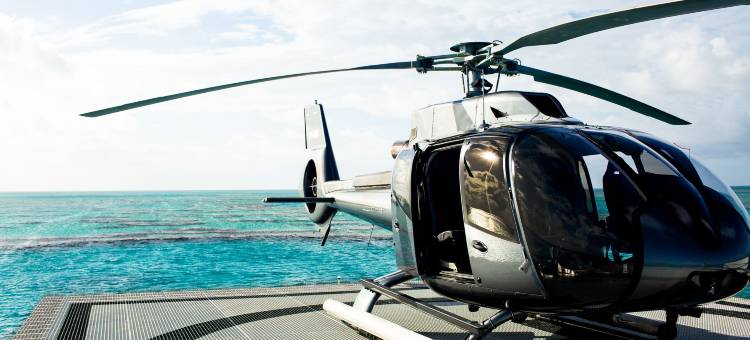 夸丽亚(Qualia)图片