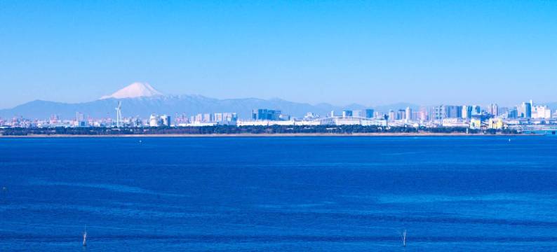 东京湾舞滨酒店第一度假村(Tokyo Bay Maihama Hotel First Resort)图片
