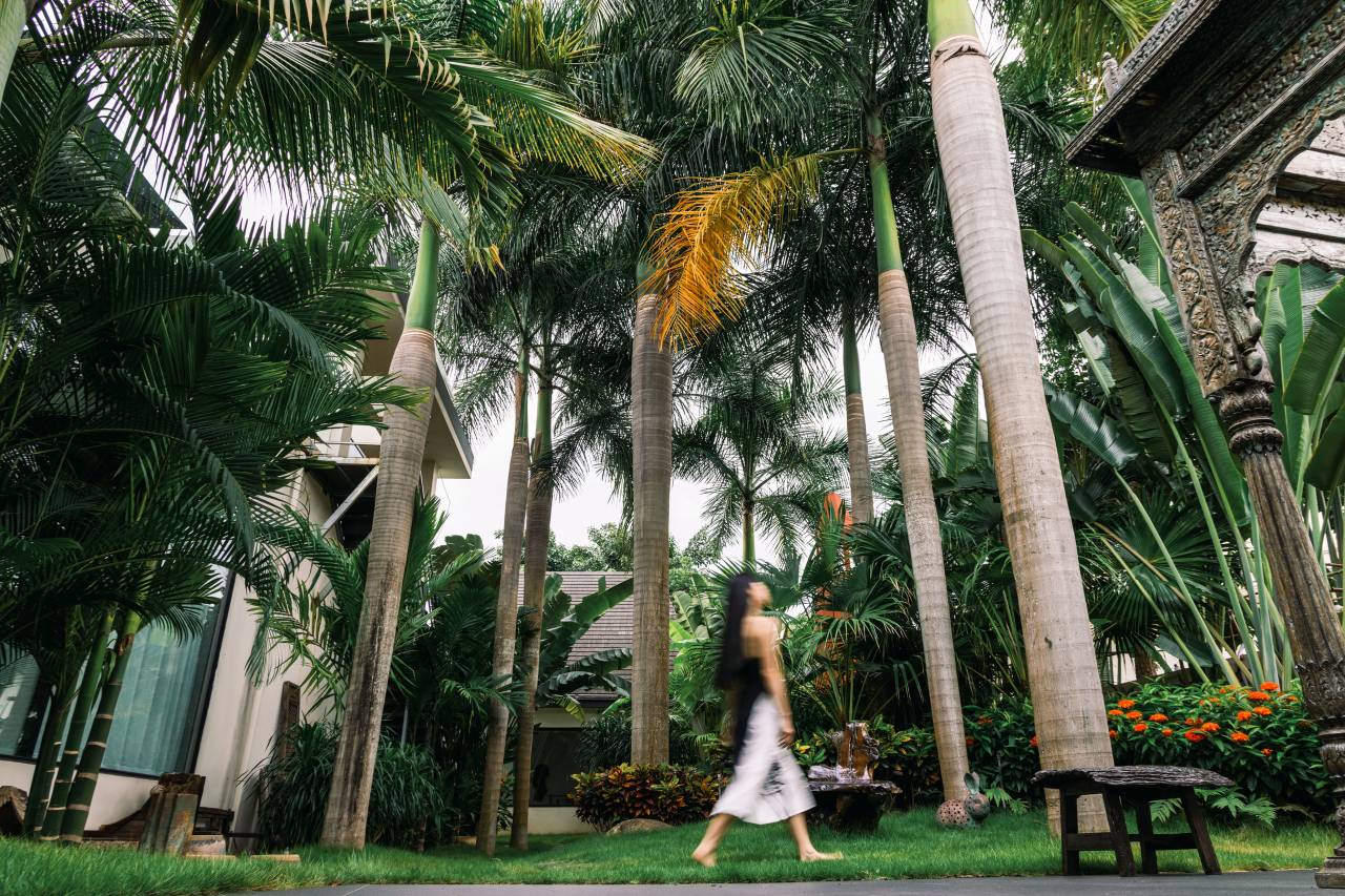 西双版纳本墅·林语度假酒店图片