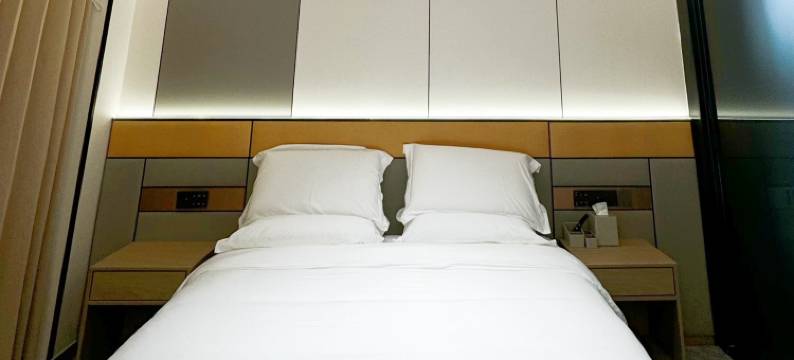 大名金意轩酒店图片