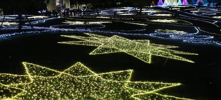 挂川皇家酒店-车站2号酒店(Royal Inn Kakegawa (Station Hotel 2))图片