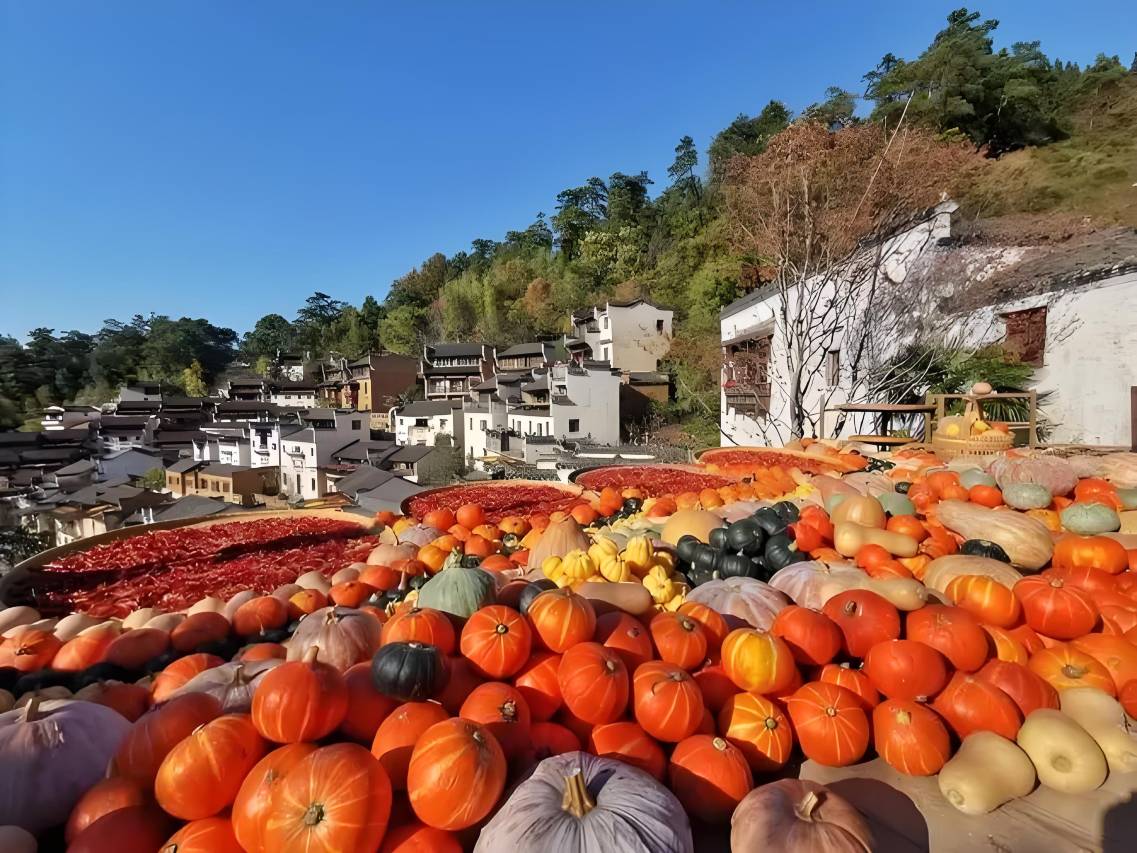 秋语云栖·Villa设计美宿(晒秋观景台篁岭风景区店)图片