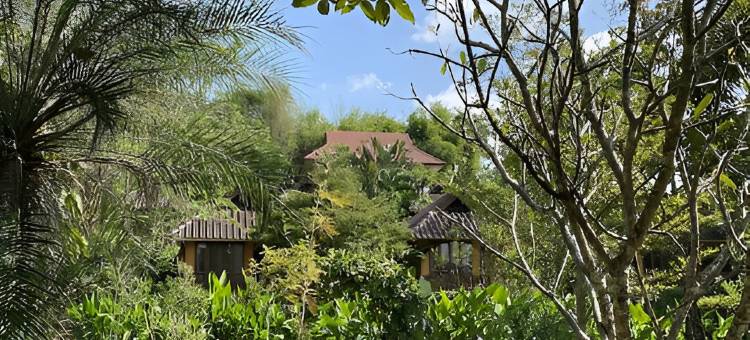 排帕拉维达酒店(Pura Vida Pai Resort)图片