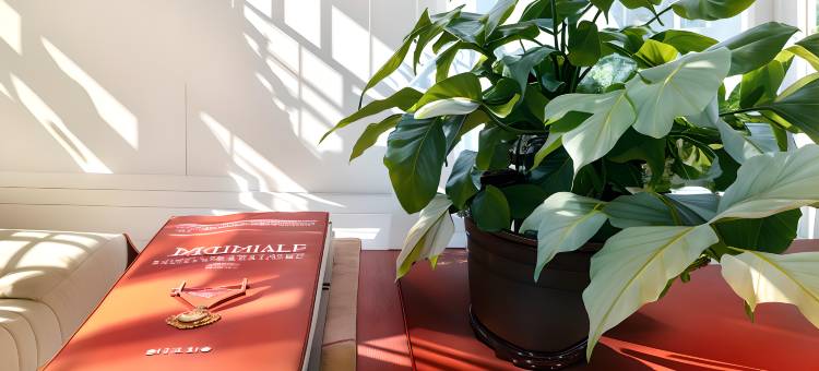 班玛格萨尔大酒店图片