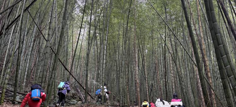 莫干山一千零七夜·网球主题度假民宿图片