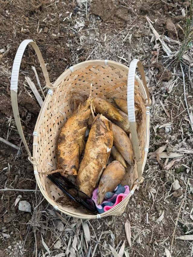 安吉归遇·怡晨谷亲子野奢美墅图片