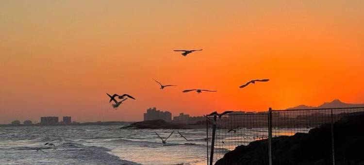 尚客优连锁酒店(秦皇岛建设大街店)图片