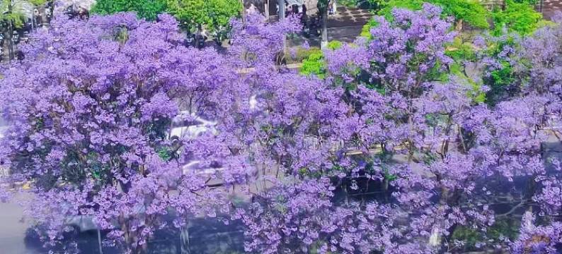 昆明红河宾馆(火车站店)图片