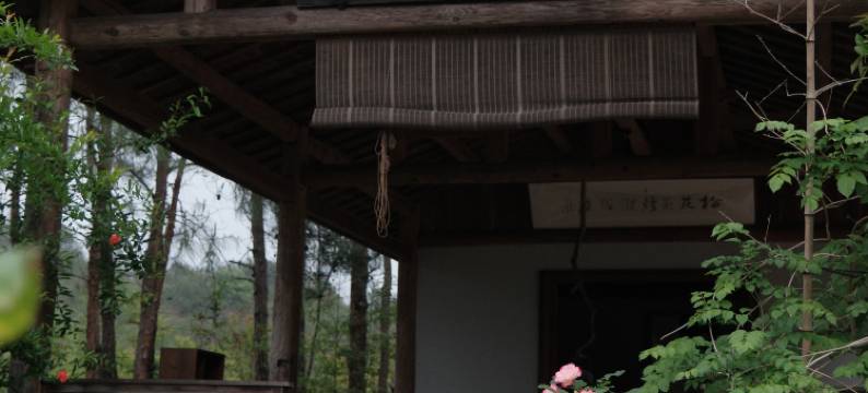 武夷山养岩山房图片
