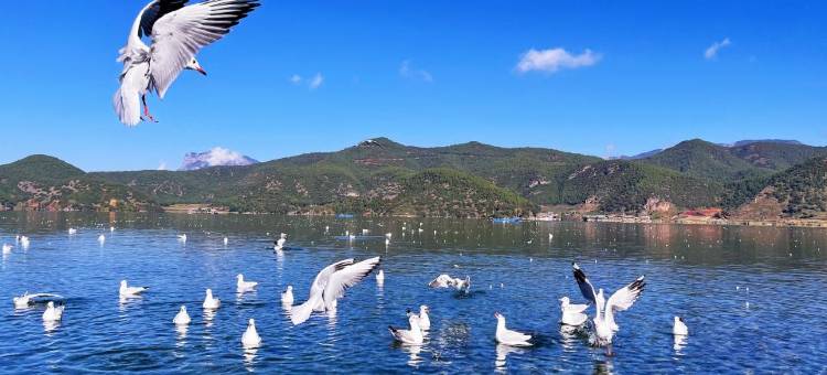 丽江石琉赏客栈(丽江古城四方街店)图片