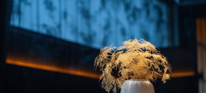 色达·草言殳舍酒店图片