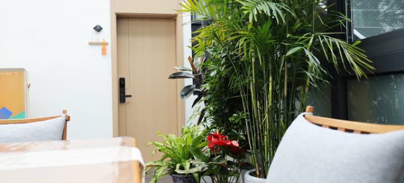 拉萨时光悠哉客栈图片