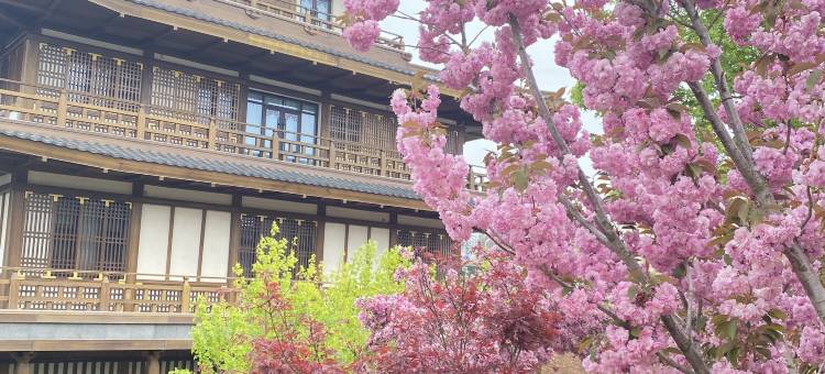 大连青汐温泉酒店图片