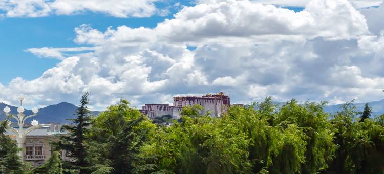 诗珀观景富氧酒店图片