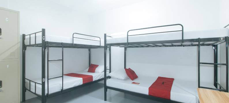 RedDoorz @ Qhouzz near PUP图片