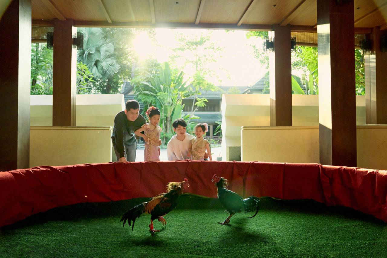 西双版纳洲际度假酒店图片