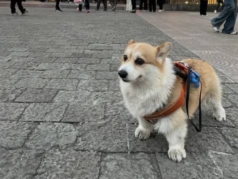 临海紫弘阳舍(紫阳街店)图片