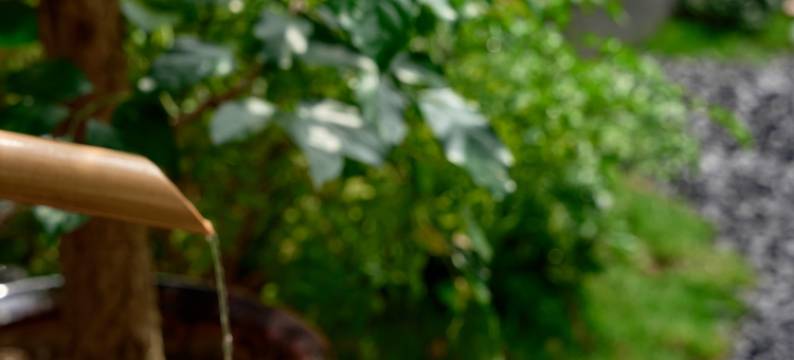 天台易林阁·鹿隐仙踪山景美宿(国清寺景区店)图片