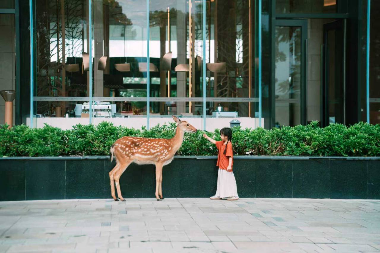 遂宁首座万豪酒店图片