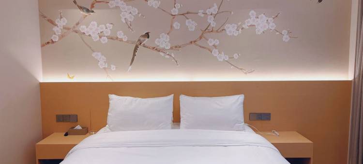 星宸雅苑酒店(拉萨贡嘎机场店)图片