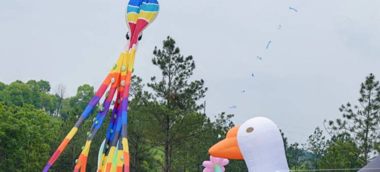 途途 city酒店(茶陵县中华茶祖文化产业园店)图片